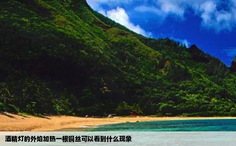 酒精灯的外焰加热一根铜丝可以看到什么现象