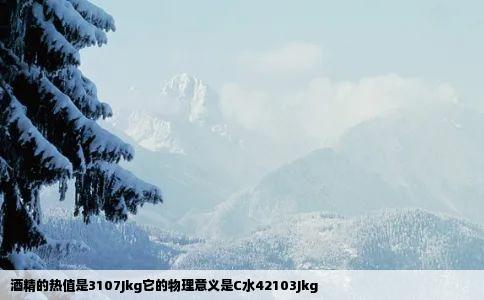 酒精的热值是3107Jkg它的物理意义是C水42103Jkg