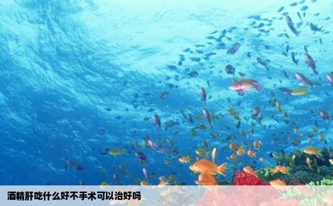 酒精肝吃什么好不手术可以治好吗