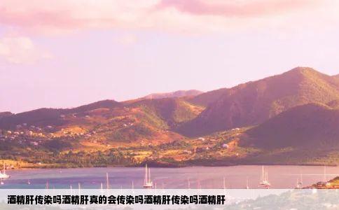 酒精肝传染吗酒精肝真的会传染吗酒精肝传染吗酒精肝
