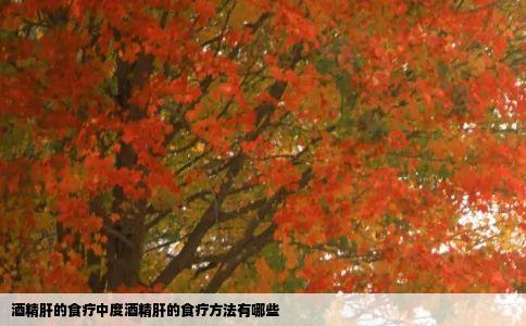 酒精肝的食疗中度酒精肝的食疗方法有哪些