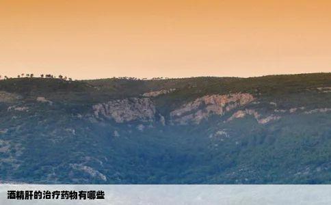 酒精肝的治疗药物有哪些