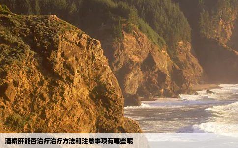 酒精肝能否治疗治疗方法和注意事项有哪些呢