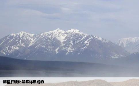 酒精肝硬化是怎样形成的