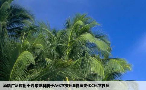 酒精广泛应用于汽车燃料属于A化学变化B物理变化C化学性质