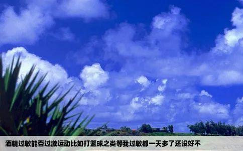 酒精过敏能否过激运动比如打篮球之类等我过敏都一天多了还没好不