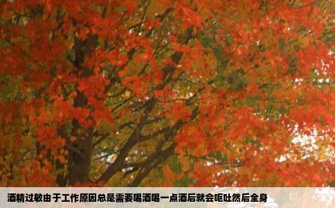 酒精过敏由于工作原因总是需要喝酒喝一点酒后就会呕吐然后全身