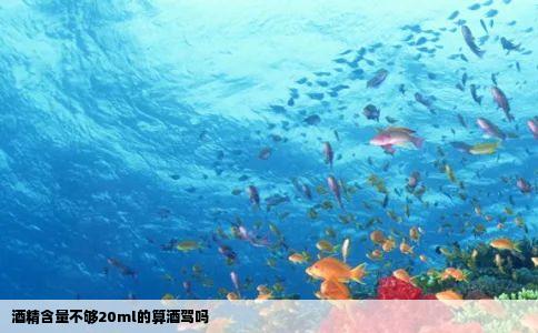 酒精含量不够20ml的算酒驾吗