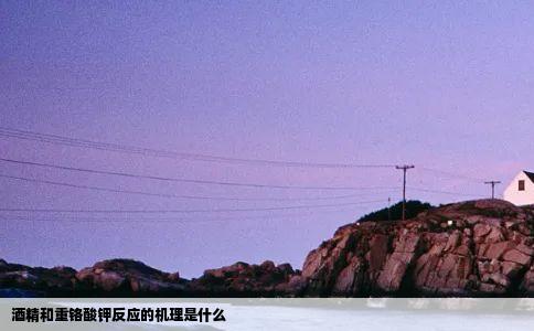 酒精和重铬酸钾反应的机理是什么