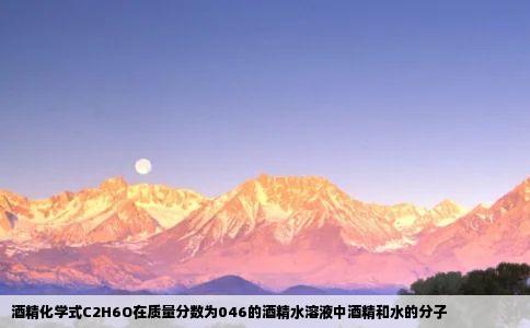 酒精化学式C2H6O在质量分数为046的酒精水溶液中酒精和水的分子