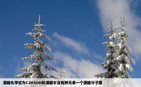 酒精化学式为C2H5OH则酒精中含有种元素一个酒精分子里