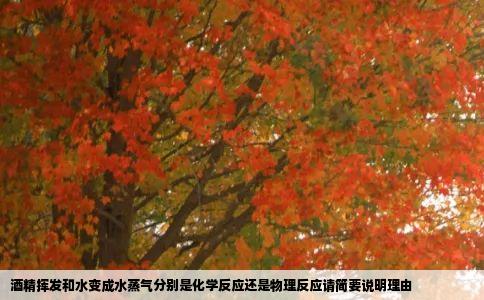 酒精挥发和水变成水蒸气分别是化学反应还是物理反应请简要说明理由