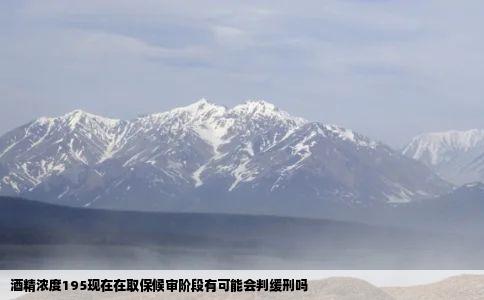 酒精浓度195现在在取保候审阶段有可能会判缓刑吗