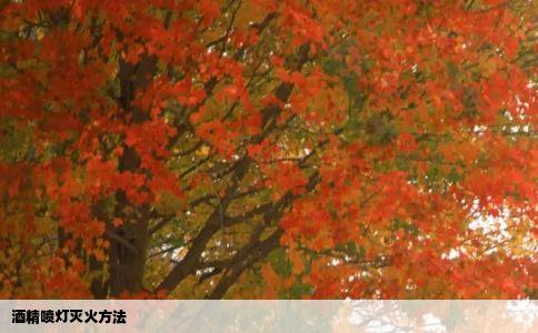 酒精喷灯灭火方法