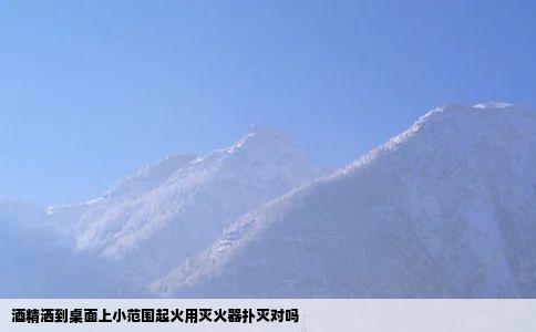 酒精洒到桌面上小范围起火用灭火器扑灭对吗