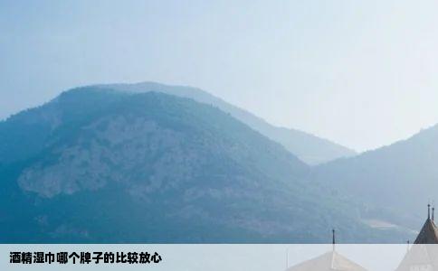 酒精湿巾哪个牌子的比较放心