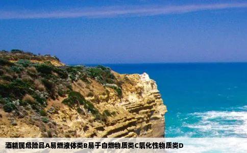 酒精属危险品A易燃液体类B易于自燃物质类C氧化性物质类D
