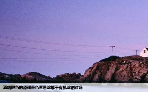 酒精脱色的原理是色素易溶解于有机溶剂对吗