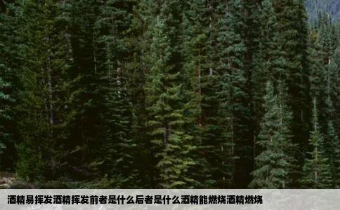 酒精易挥发酒精挥发前者是什么后者是什么酒精能燃烧酒精燃烧