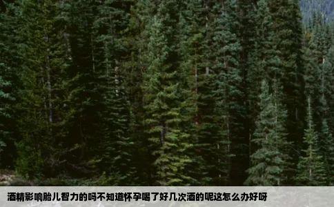 酒精影响胎儿智力的吗不知道怀孕喝了好几次酒的呢这怎么办好呀