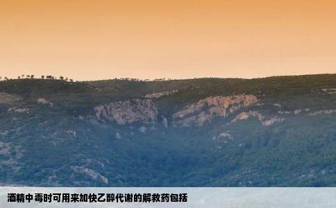 酒精中毒时可用来加快乙醇代谢的解救药包括