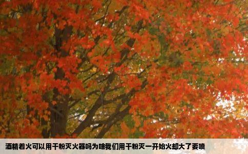 酒精着火可以用干粉灭火器吗为啥我们用干粉灭一开始火却大了要喷
