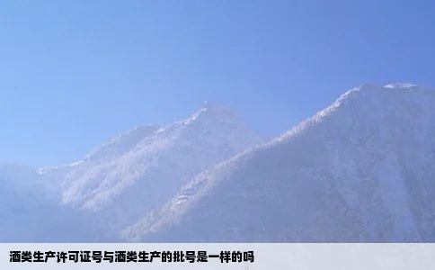 酒类生产许可证号与酒类生产的批号是一样的吗