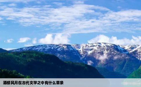 酒柳风月在古代文学之中有什么意象