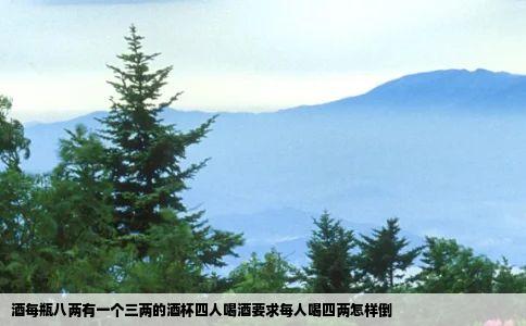 酒每瓶八两有一个三两的酒杯四人喝酒要求每人喝四两怎样倒