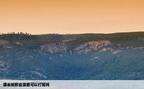 酒米加野战蓝鲫可以打窝吗