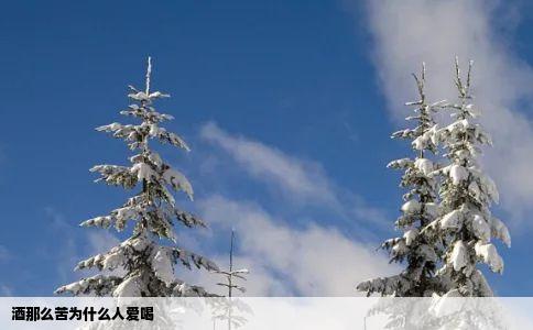 酒那么苦为什么人爱喝