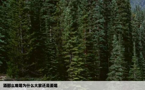 酒那么难喝为什么大家还是要喝