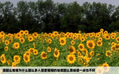 酒那么难喝为什么那么多人很爱喝烟的味道那么熏味道一点也不好