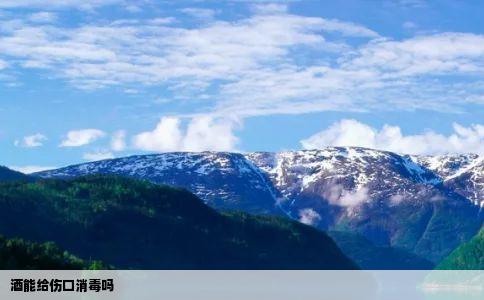 酒能给伤口消毒吗