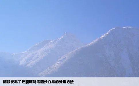 酒酿长毛了还能吃吗酒酿长白毛的处理方法