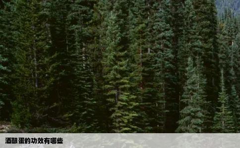 酒酿蛋的功效有哪些