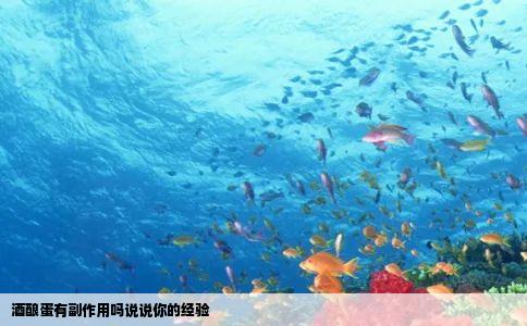 酒酿蛋有副作用吗说说你的经验