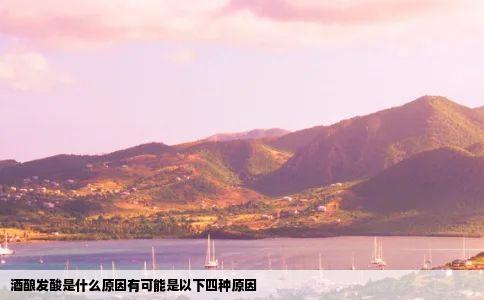 酒酿发酸是什么原因有可能是以下四种原因