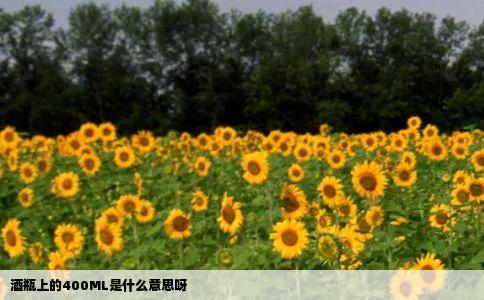 酒瓶上的400ML是什么意思呀
