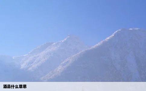 酒品什么意思