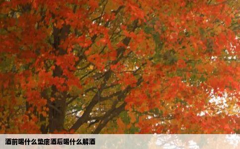 酒前喝什么垫底酒后喝什么解酒