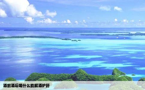 酒前酒后喝什么能解酒护肝