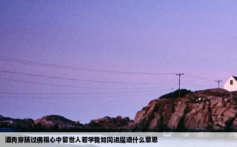 酒肉穿肠过佛祖心中留世人若学我如同进魔道什么意思