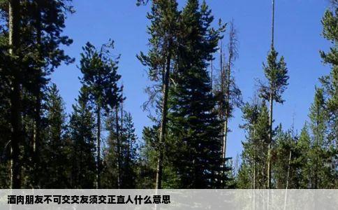 酒肉朋友不可交交友须交正直人什么意思