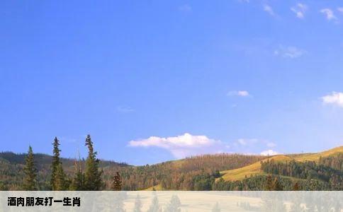 酒肉朋友打一生肖