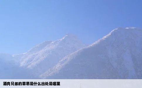 酒肉兄弟的意思是什么出处是哪里