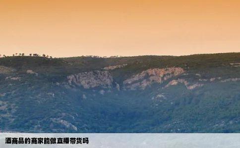 酒商品的商家能做直播带货吗