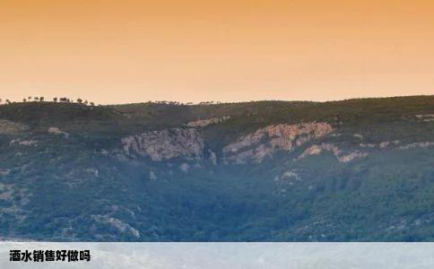 酒水销售好做吗