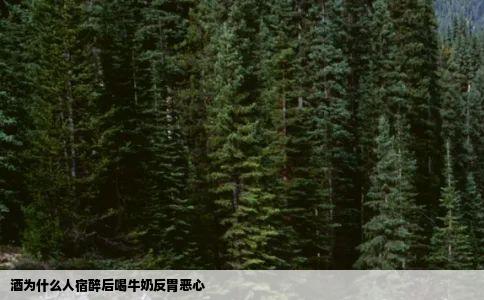 酒为什么人宿醉后喝牛奶反胃恶心