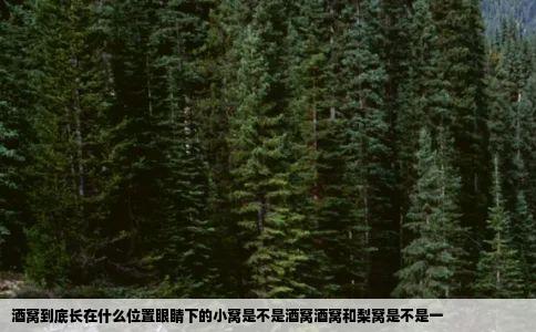 酒窝到底长在什么位置眼睛下的小窝是不是酒窝酒窝和梨窝是不是一